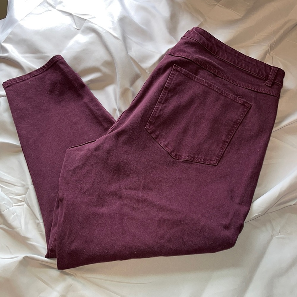 Lane Bryant Women’s Jeans.